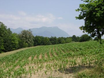 Monte Pizzocolo