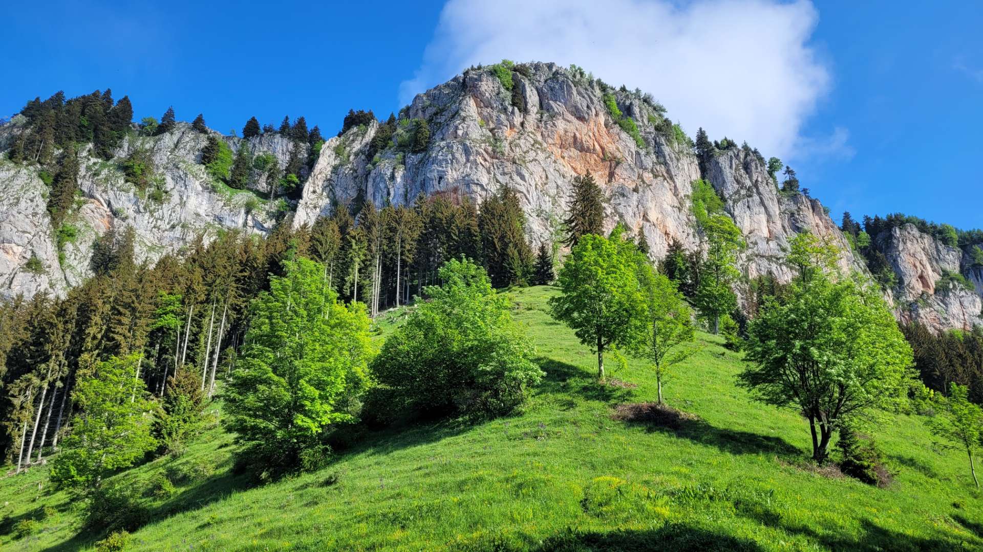Rote Wand